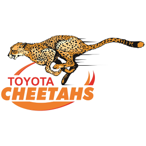 Cheetahs